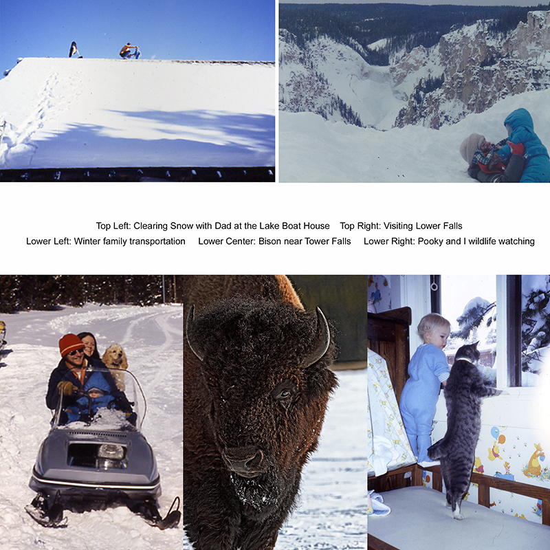 Winter Story Boardweb