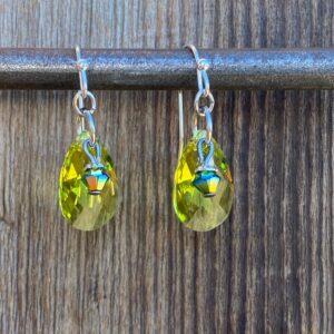 Margaritaville Teardrop Crystal Earrings #EW832-197