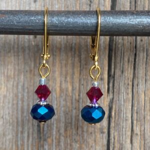 Monte Carlo Leverback Earrings #EW923-227